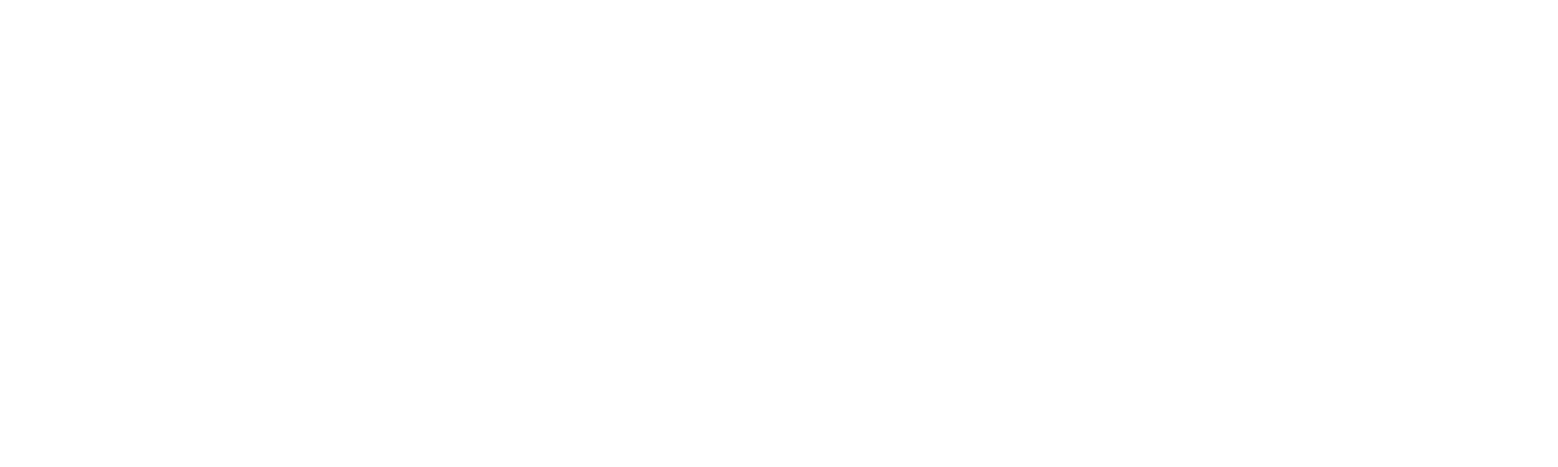 DV Digital